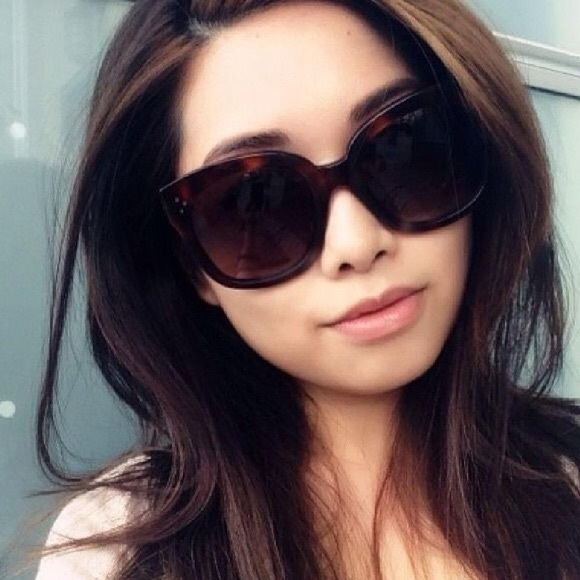 celine new audrey havana